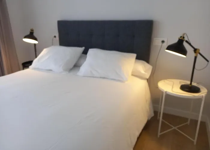 Alojamieto Centro-playa Iv Vut * Gijon